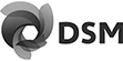 DSM Group