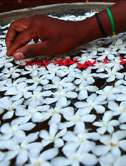Fragrance.org - Majestic Flora